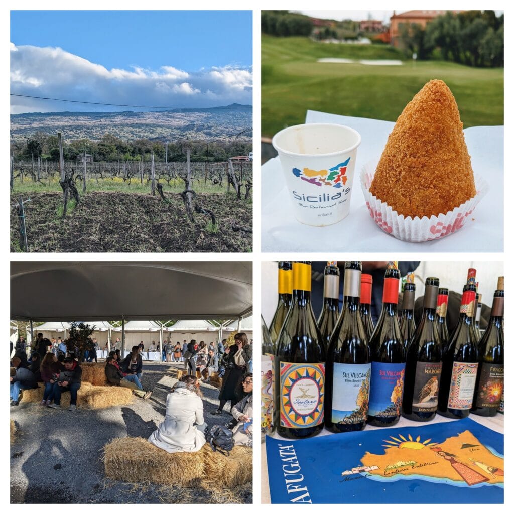 a collage of my etna vineyard, arancini, some bottles of wine and some people sitting on hay bails at a wine festival