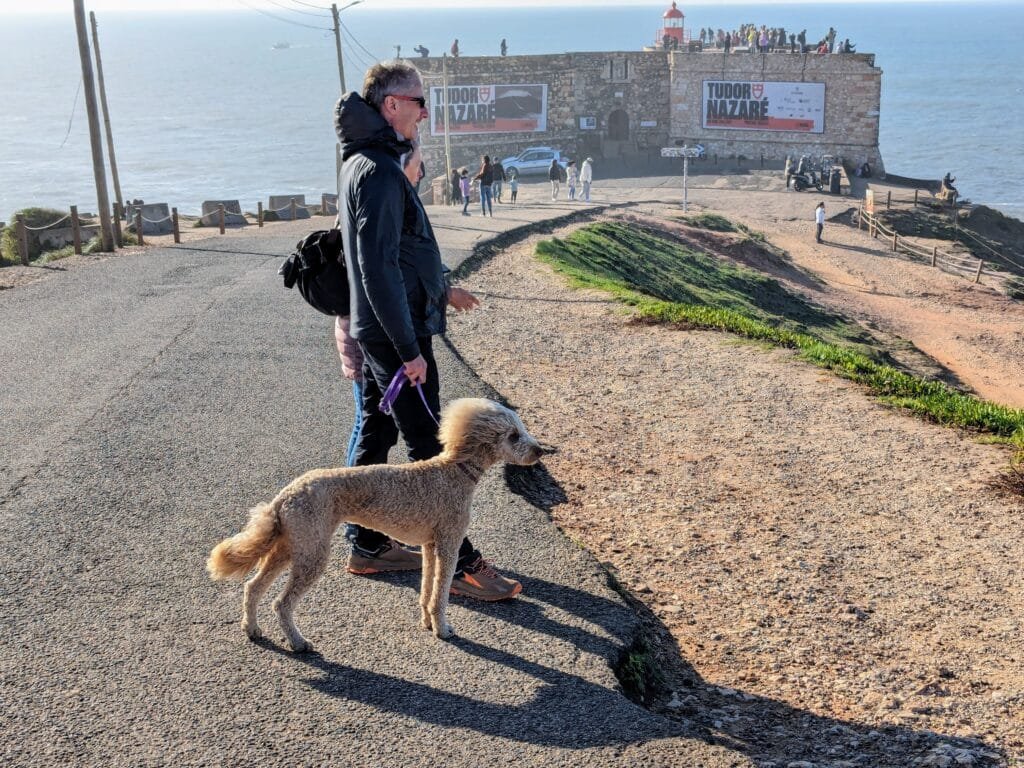 dog watching the surfing at nazare