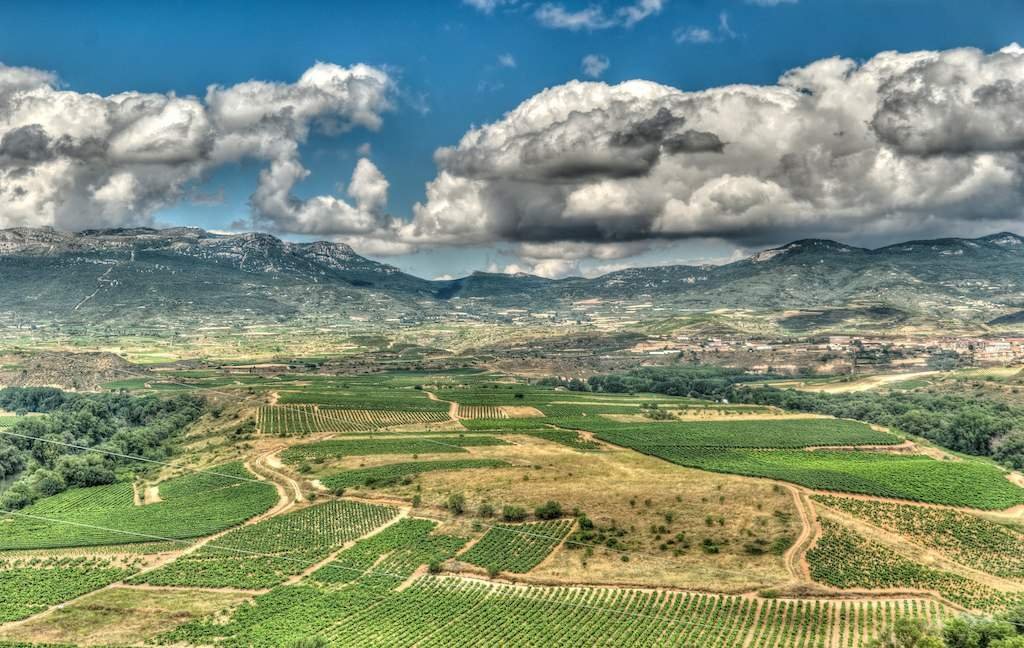 wine tours from san sebastian to la rioja