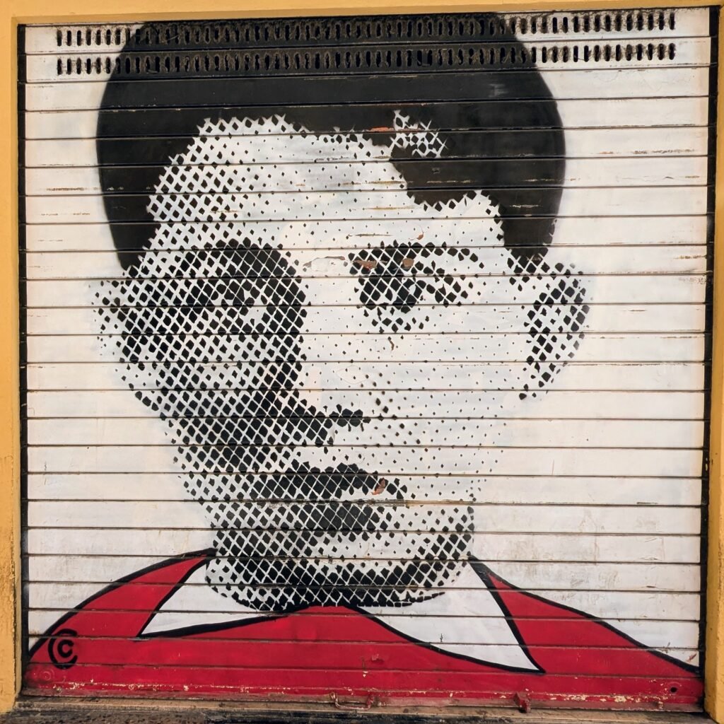 a shutter mural of a boy's face in bologna italy