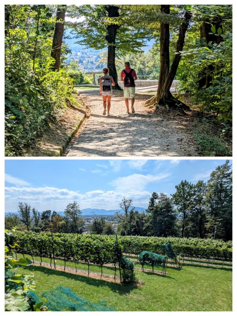 people walking on a forested trail and the ljubljana castle vineyard