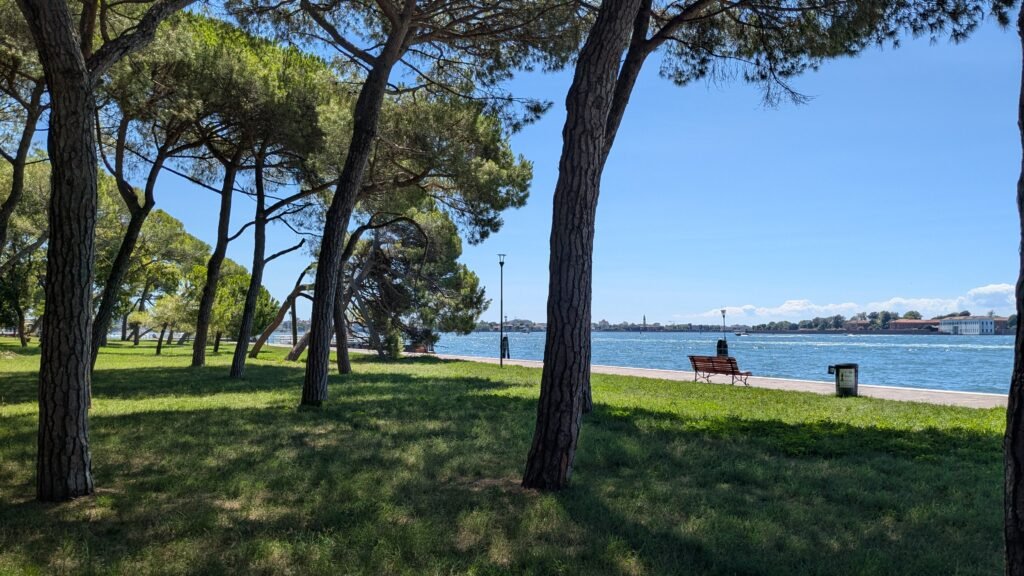 trees with venice lagoon in the background