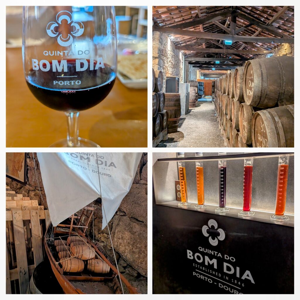 port tasting and tour at bom dia port house in porto